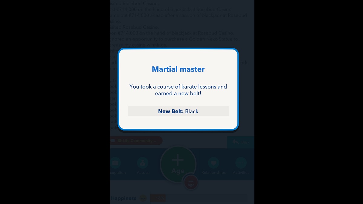 BitLife Black Belt Earned