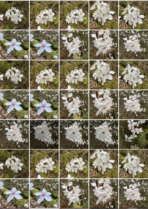 How to change thumbnail size to be smaller on Photos app for iPhone and iPad