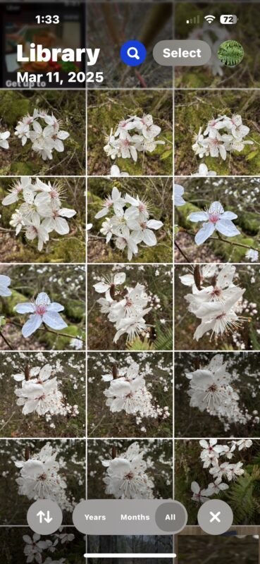 How to change thumbnail size on Photos app for iPhone and iPad