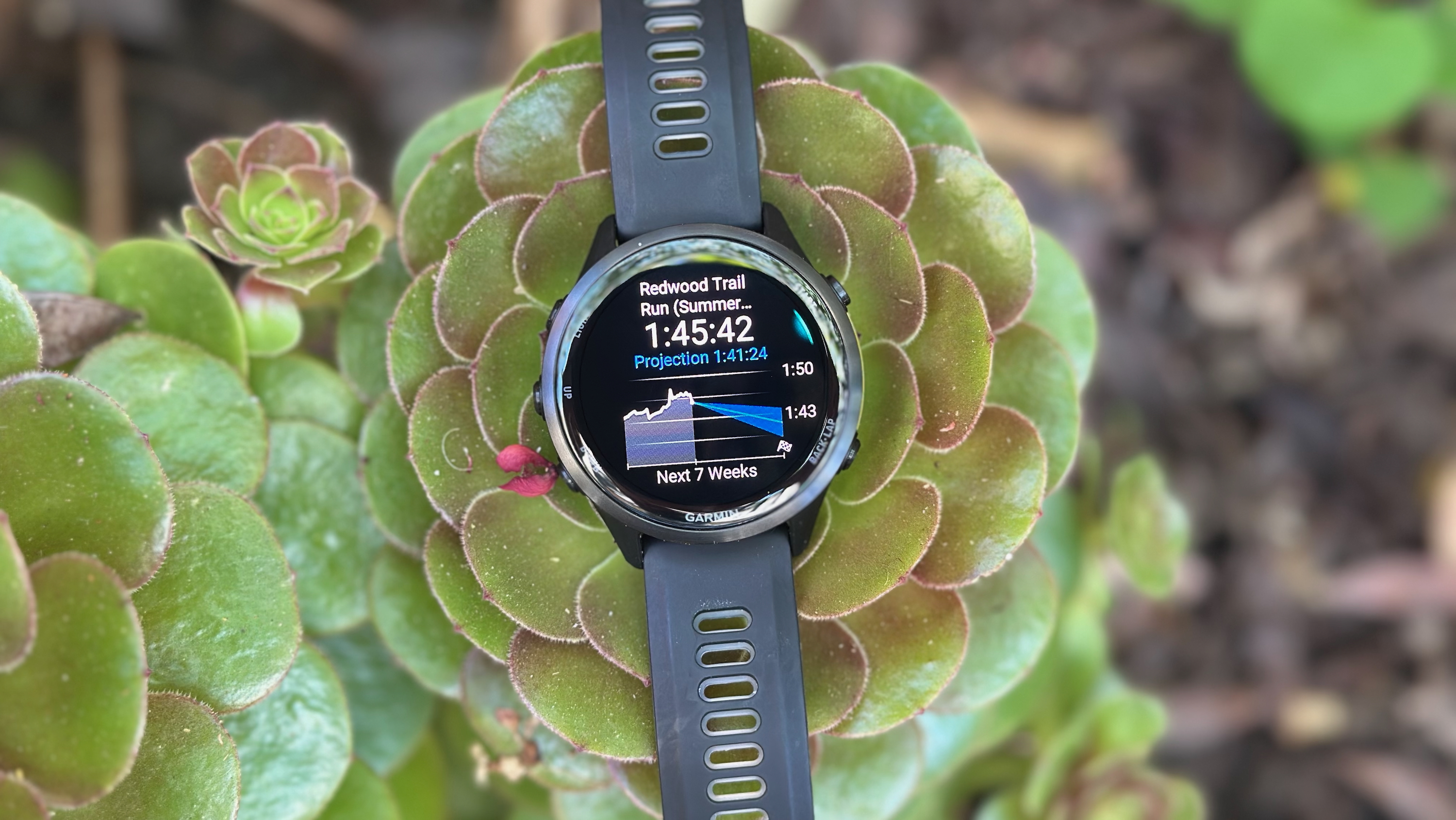 The Garmin Forerunner 970 showing the projected pace for a half marathon, with a blue line pointing to possible times seven weeks from now.