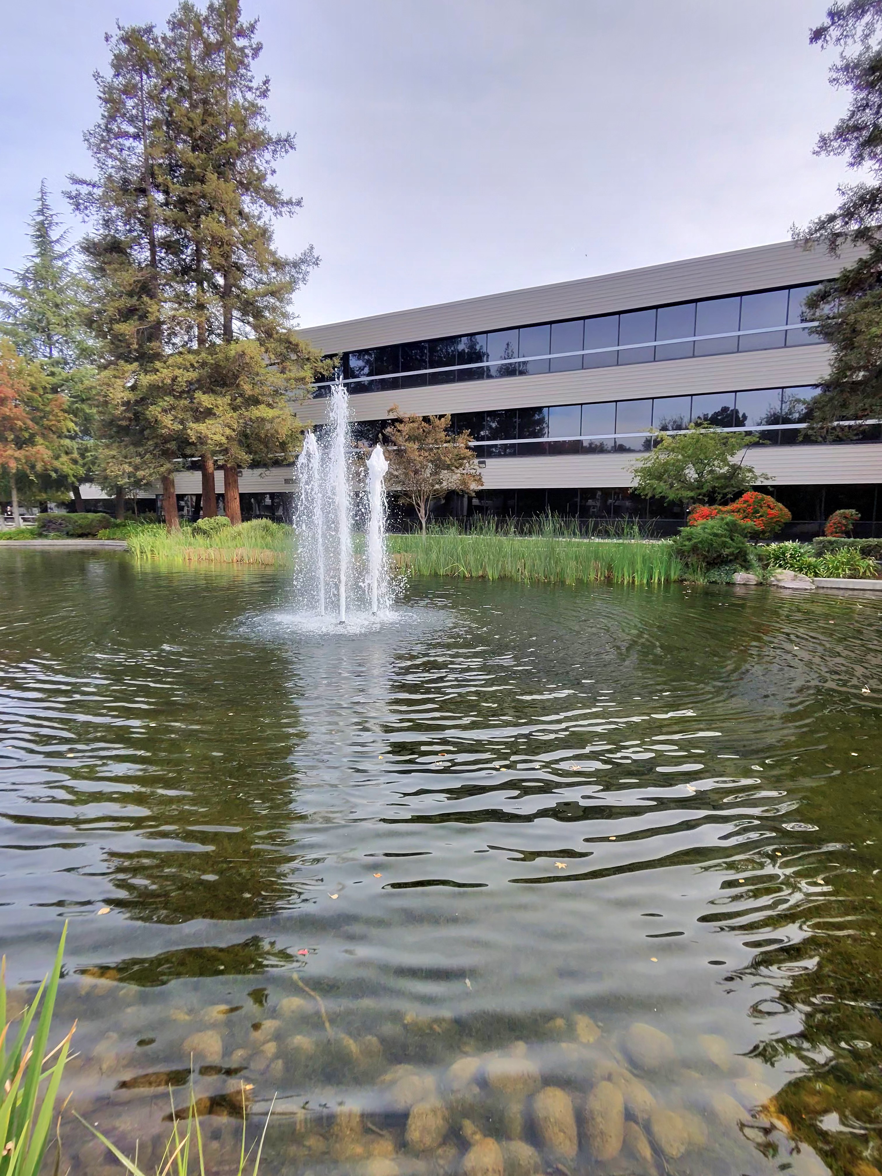 A photo taken by the Ray-Ban Meta (Gen 2) smart glasses showing a flowing fountain in the middle of a pond.