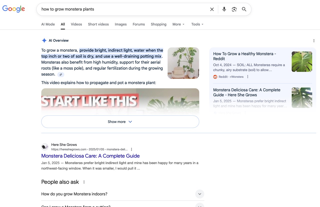 A Google AI overview which appears under the query of a normal search.