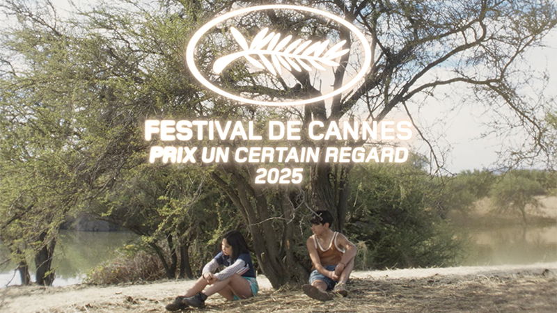 The Mysterious Gaze of the Flamingo Trailer